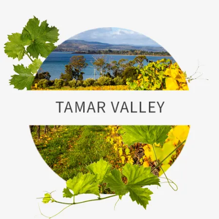 Picture for category Tamar Valley