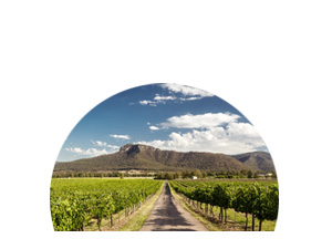  NSW Wine Regions icon